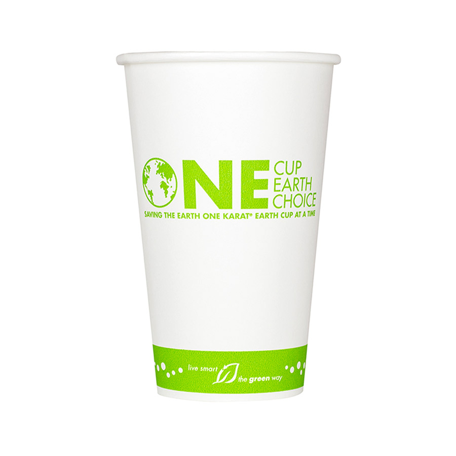 Karat Earth 16 oz. Eco Friendly White & Green Stripe Paper Hot Cups ...