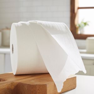 Disposable Sanitary Supplies