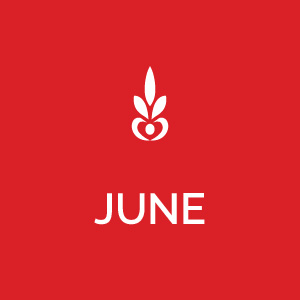 Monthly Features