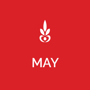 Monthly Features