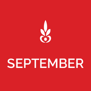 Monthly Features