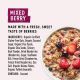 Purely Elizabeth Mixed Berry Superfood Oatmeal with Prebiotic Fiber Cup - 1.76 oz.