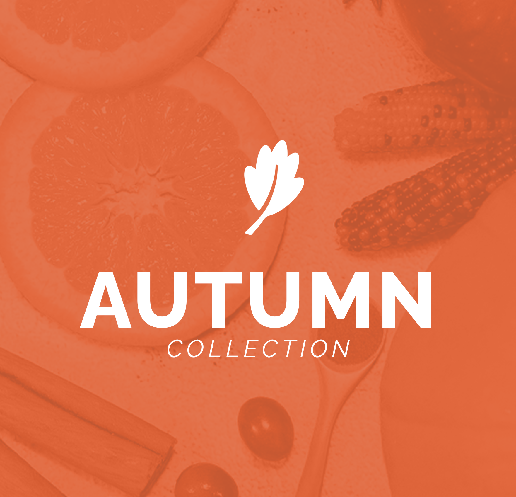Fortuna Recipes Autumn Collection