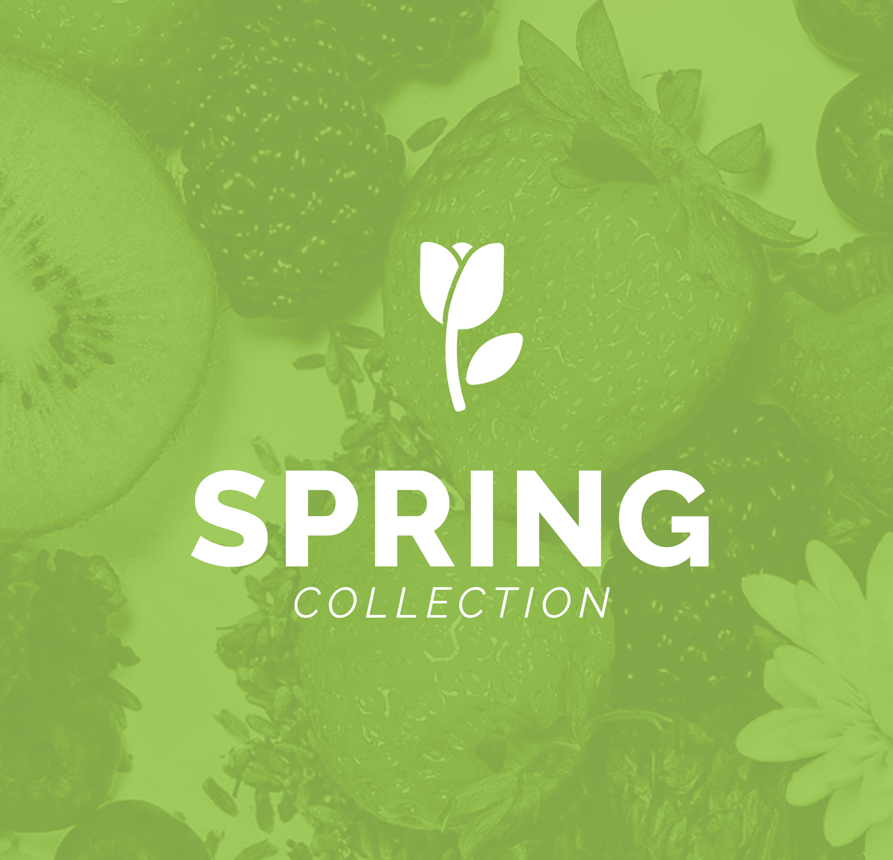 Fortuna Recipes Spring Collection