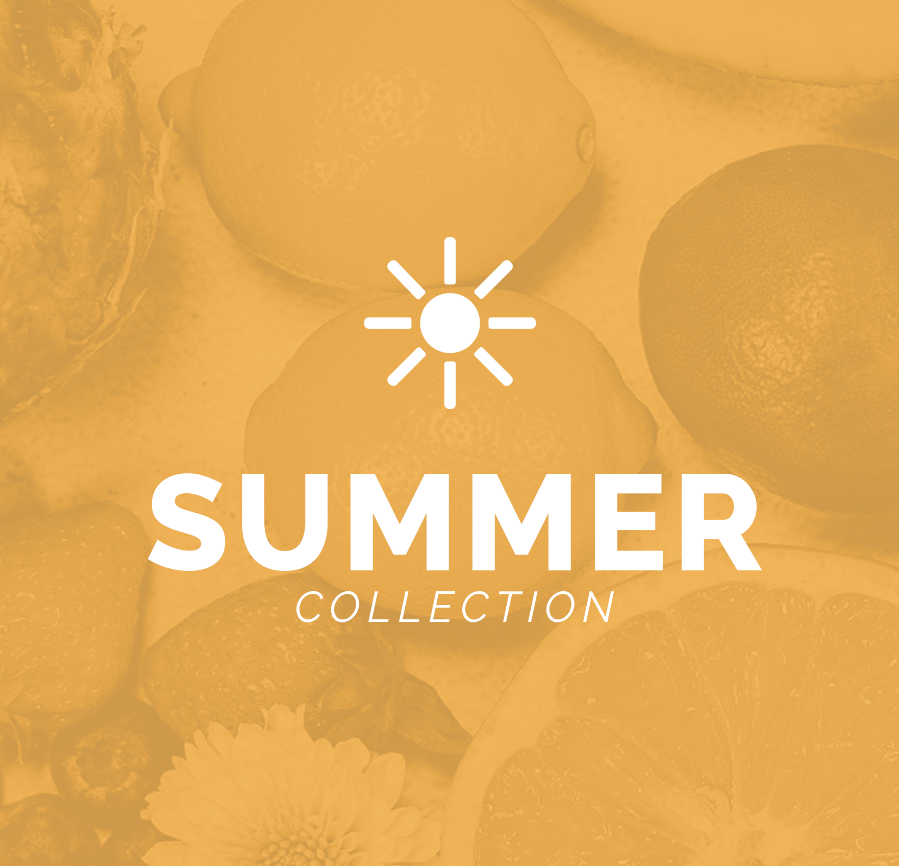 Fortuna Recipes Summer Collection