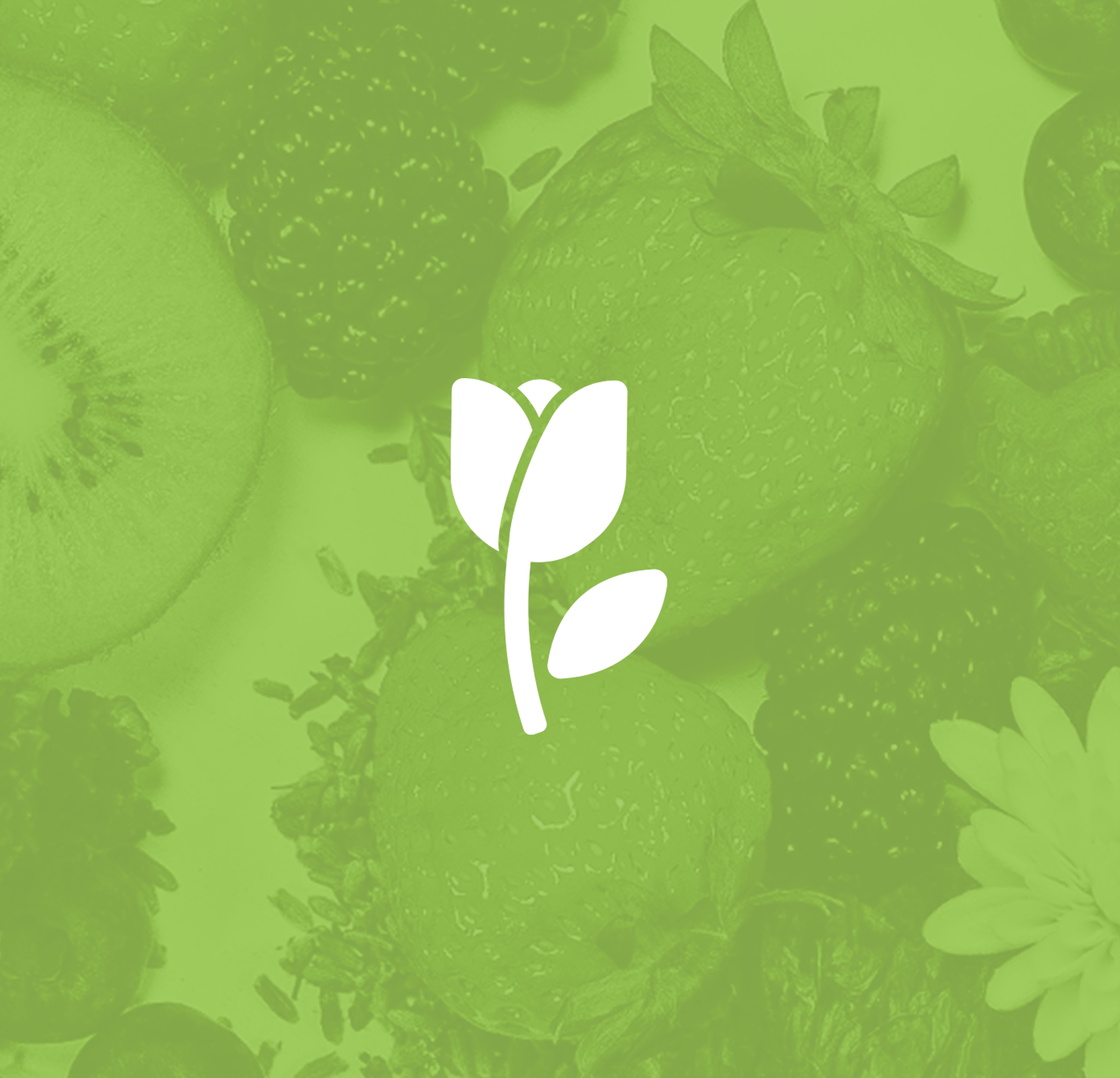 Fortuna Recipes, Spring Collection